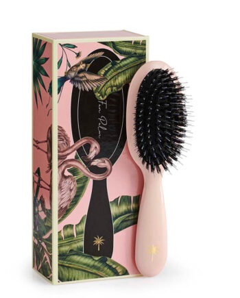 Fan Palm  Paradise Small Hos Frisøren   Baronen