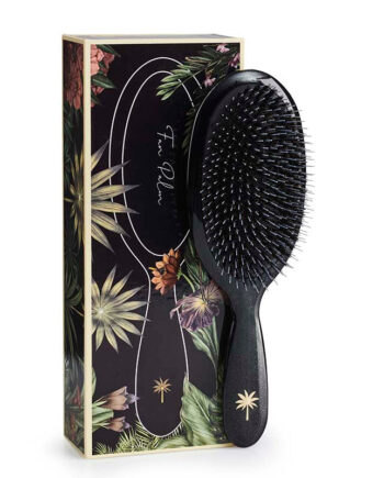 Fan Palm  Stardust Large Hos Frisøren   Baronen