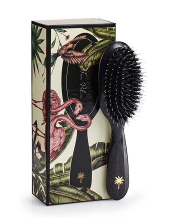 Fan Palm  Stardust Small Hos Frisøren   Baronen