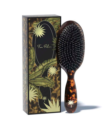 Fan Palm  Tortiose Medium Hos Frisøren   Baronen