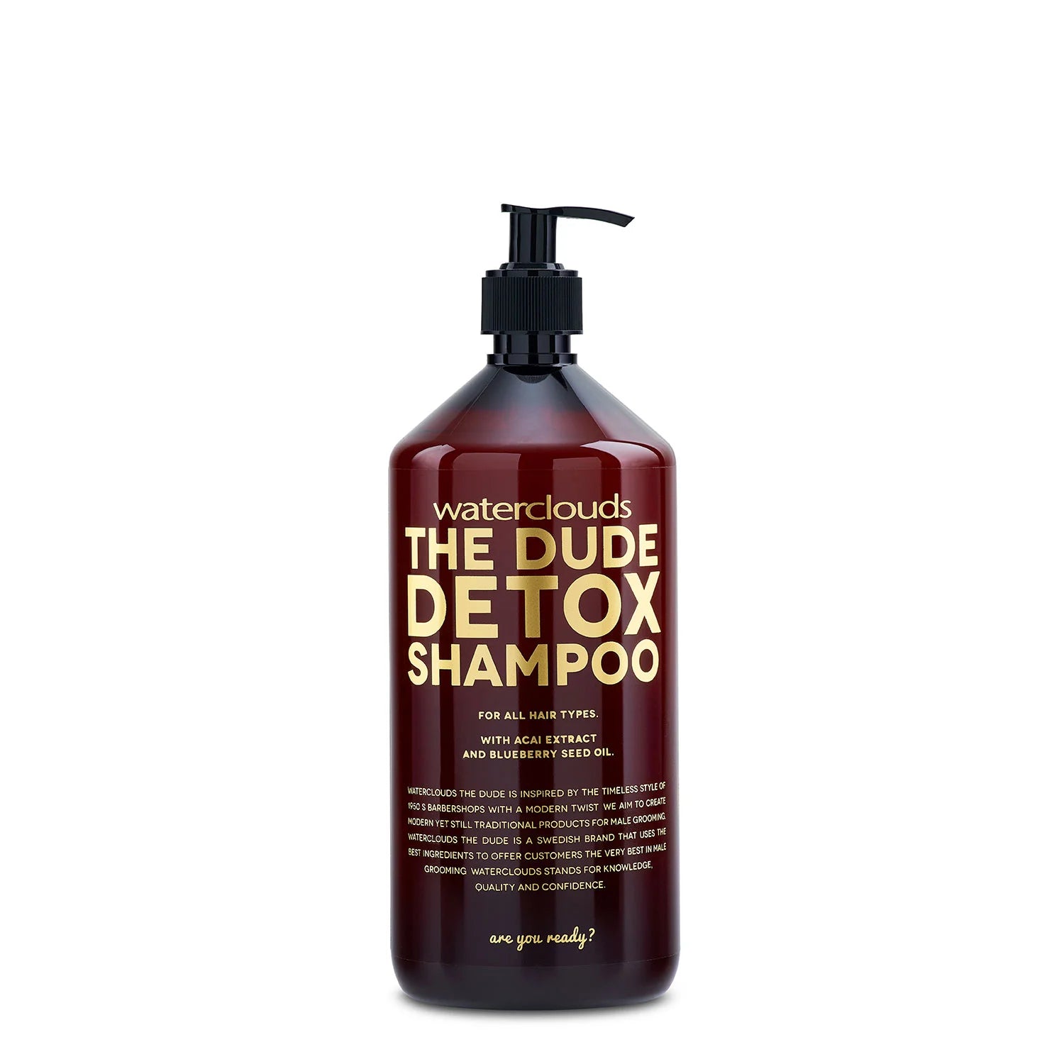 Waterclouds The Dude Detox Sh 1000ml Hos Frisøren Baronen